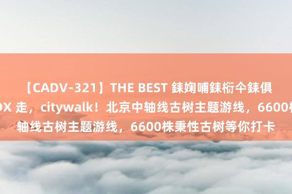 【CADV-321】THE BEST 銇婅哺銇椼仐銇俱仚銆?50浜?鏅傞枔DX 走，citywalk！北京中轴线古树主题游线，6600株秉性古树等你打卡