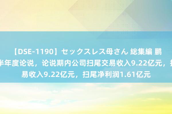 【DSE-1190】セックスレス母さん 総集編 鹏鹞环保发布2024年半年度论说，论说期内公司扫尾交易收入9.22亿元，扫尾净利润1.61亿元