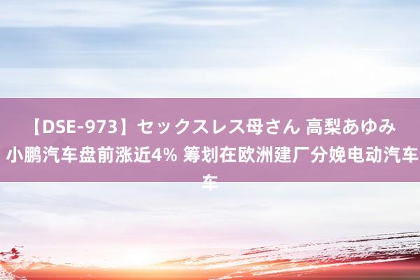 【DSE-973】セックスレス母さん 高梨あゆみ 小鹏汽车盘前涨近4% 筹划在欧洲建厂分娩电动汽车