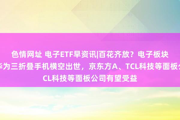 色情网址 电子ETF早资讯|百花齐放？电子板块利好迭出！华为三折叠手机横空出世，京东方A、TCL科技等面板公司有望受益