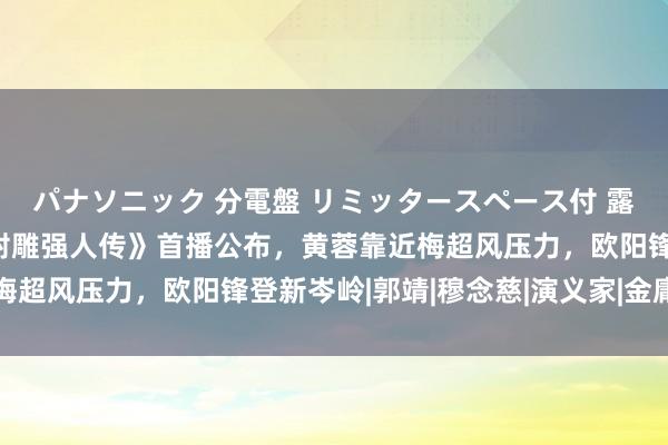 パナソニック 分電盤 リミッタースペース付 露出・半埋込両用形 《射雕强人传》首播公布，黄蓉靠近梅超风压力，欧阳锋登新岑岭|郭靖|穆念慈|演义家|金庸笔下