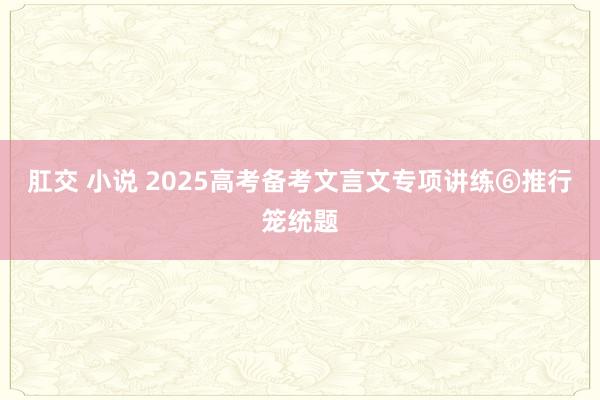 肛交 小说 2025高考备考文言文专项讲练⑥推行笼统题